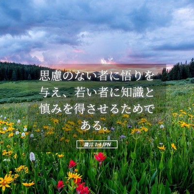 Picture 05 - 箴言 1:4 JPN - 思慮のない者に悟りを与え、若い者 - Bible Verse Picture