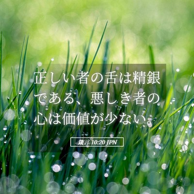 Picture 05 - 箴言 10:20 JPN - 正しい者の舌は精銀である、悪しき - Bible Verse Picture