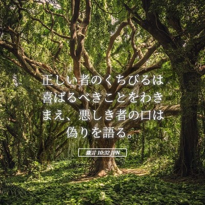 Picture 05 - 箴言 10:32 JPN - 正しい者のくちびるは喜ばるべきこ - Bible Verse Picture