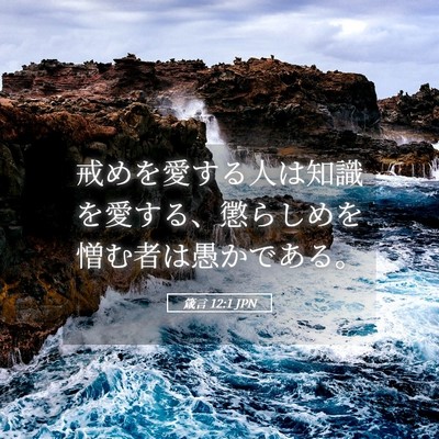 Picture 05 - 箴言 12:1 JPN - 戒めを愛する人は知識を愛する、懲 - Bible Verse Picture