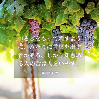 Picture 05 - 箴言 12:18 JPN - つるぎをもって刺すように、みだり - Bible Verse Picture