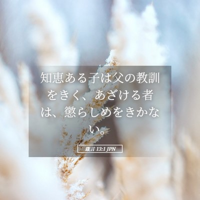 Picture 05 - 箴言 13:1 JPN - 知恵ある子は父の教訓をきく、あざ - Bible Verse Picture