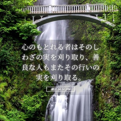 Picture 05 - 箴言 14:14 JPN - 心のもとれる者はそのしわざの実を - Bible Verse Picture