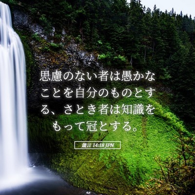 Picture 05 - 箴言 14:18 JPN - 思慮のない者は愚かなことを自分の - Bible Verse Picture
