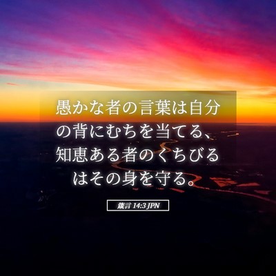 Picture 05 - 箴言 14:3 JPN - 愚かな者の言葉は自分の背にむちを - Bible Verse Picture