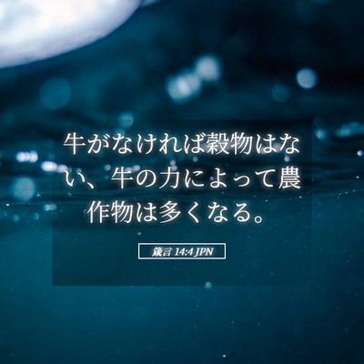Picture 05 - 箴言 14:4 JPN - 牛がなければ穀物はない、牛の力に - Bible Verse Picture