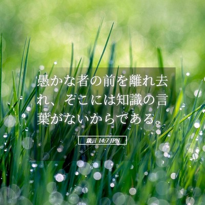 Picture 05 - 箴言 14:7 JPN - 愚かな者の前を離れ去れ、そこには - Bible Verse Picture