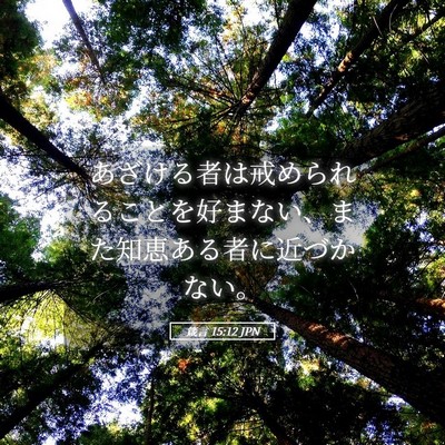 Picture 05 - 箴言 15:12 JPN - あざける者は戒められることを好ま - Bible Verse Picture