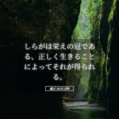 Picture 05 - 箴言 16:31 JPN - しらがは栄えの冠である、正しく生 - Bible Verse Picture