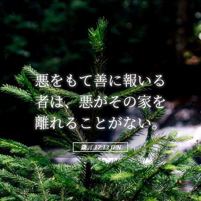 Picture 05 - 箴言 17:13 JPN - 悪をもて善に報いる者は、悪がその - Bible Verse Picture