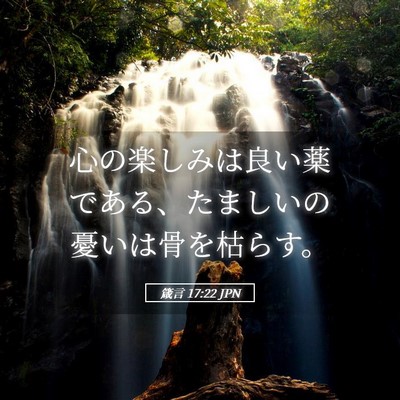 Picture 05 - 箴言 17:22 JPN - 心の楽しみは良い薬である、たまし - Bible Verse Picture