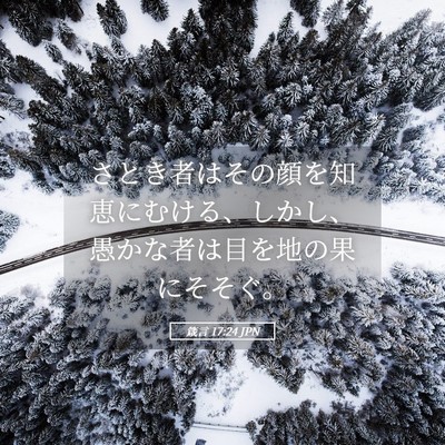 Picture 05 - 箴言 17:24 JPN - さとき者はその顔を知恵にむける、 - Bible Verse Picture