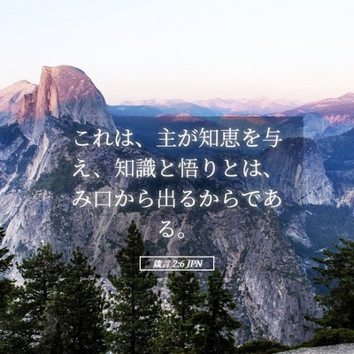 Picture 05 - 箴言 2:6 JPN - これは、主が知恵を与え、知識と悟 - Bible Verse Picture