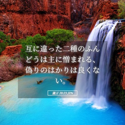 Picture 05 - 箴言 20:23 JPN - 互に違った二種のふんどうは主に憎 - Bible Verse Picture