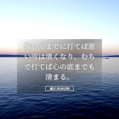 Picture 05 - 箴言 20:30 JPN - 傷つくまでに打てば悪い所は清くな - Bible Verse Picture
