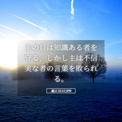 Picture 05 - 箴言 22:12 JPN - 主の目は知識ある者を守る、しかし - Bible Verse Picture