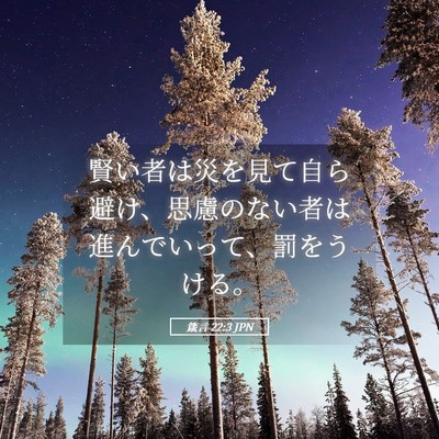 Picture 05 - 箴言 22:3 JPN - 賢い者は災を見て自ら避け、思慮の - Bible Verse Picture