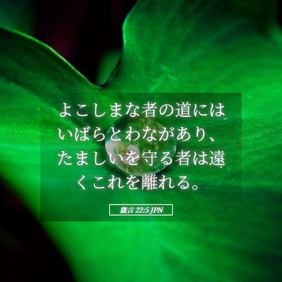 Picture 05 - 箴言 22:5 JPN - よこしまな者の道にはいばらとわな - Bible Verse Picture
