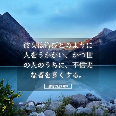 Picture 05 - 箴言 23:28 JPN - 彼女は盗びとのように人をうかがい - Bible Verse Picture