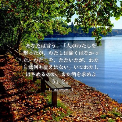 Picture 05 - 箴言 23:35 JPN - あなたは言う、「人がわたしを撃っ - Bible Verse Picture