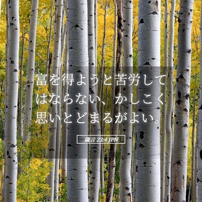 Picture 05 - 箴言 23:4 JPN - 富を得ようと苦労してはならない、 - Bible Verse Picture
