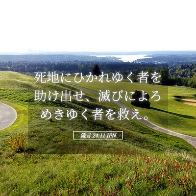 Picture 05 - 箴言 24:11 JPN - 死地にひかれゆく者を助け出せ、滅 - Bible Verse Picture