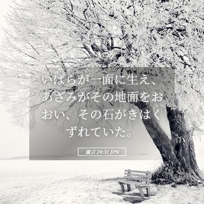 Picture 05 - 箴言 24:31 JPN - いばらが一面に生え、あざみがその - Bible Verse Picture