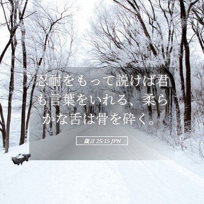 Picture 05 - 箴言 25:15 JPN - 忍耐をもって説けば君も言葉をいれ - Bible Verse Picture