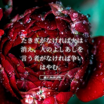 Picture 05 - 箴言 26:20 JPN - たきぎがなければ火は消え、人のよ - Bible Verse Picture