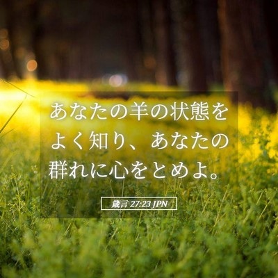 Picture 05 - 箴言 27:23 JPN - あなたの羊の状態をよく知り、あな - Bible Verse Picture