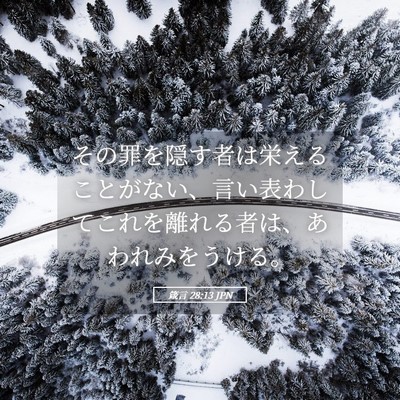 Picture 05 - 箴言 28:13 JPN - その罪を隠す者は栄えることがない - Bible Verse Picture