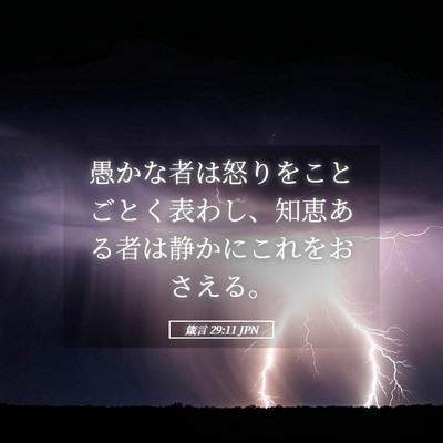 Picture 05 - 箴言 29:11 JPN - 愚かな者は怒りをことごとく表わし - Bible Verse Picture