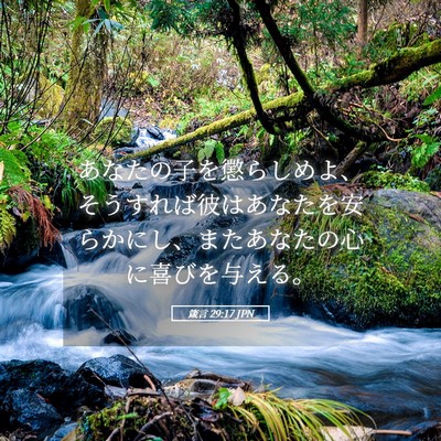 Picture 05 - 箴言 29:17 JPN - あなたの子を懲らしめよ、そうすれ - Bible Verse Picture