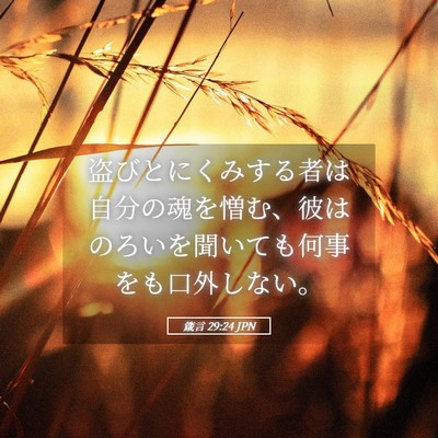 Picture 05 - 箴言 29:24 JPN - 盗びとにくみする者は自分の魂を憎 - Bible Verse Picture