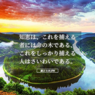 Picture 05 - 箴言 3:18 JPN - 知恵は、これを捕える者には命の木 - Bible Verse Picture
