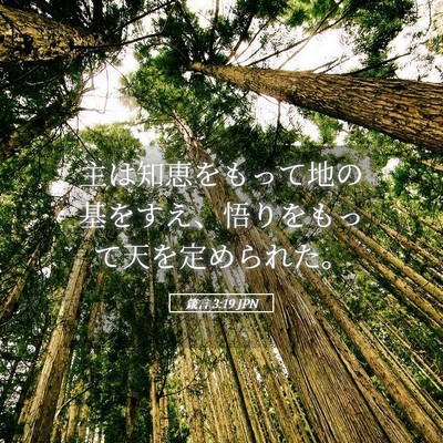 Picture 05 - 箴言 3:19 JPN - 主は知恵をもって地の基をすえ、悟 - Bible Verse Picture