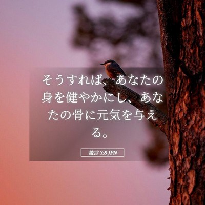 Picture 05 - 箴言 3:8 JPN - そうすれば、あなたの身を健やかに - Bible Verse Picture