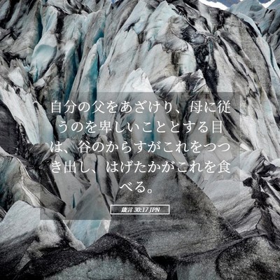 Picture 05 - 箴言 30:17 JPN - 自分の父をあざけり、母に従うのを - Bible Verse Picture