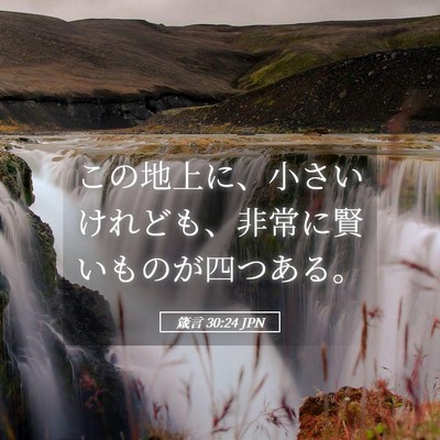 Picture 05 - 箴言 30:24 JPN - この地上に、小さいけれども、非常 - Bible Verse Picture