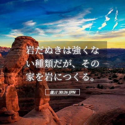 Picture 05 - 箴言 30:26 JPN - 岩だぬきは強くない種類だが、その - Bible Verse Picture