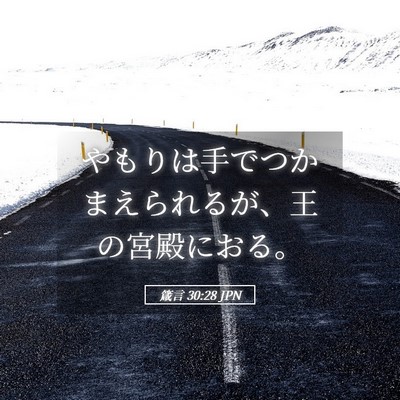 Picture 05 - 箴言 30:28 JPN - やもりは手でつかまえられるが、王 - Bible Verse Picture