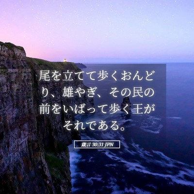 Picture 05 - 箴言 30:31 JPN - 尾を立てて歩くおんどり、雄やぎ、 - Bible Verse Picture