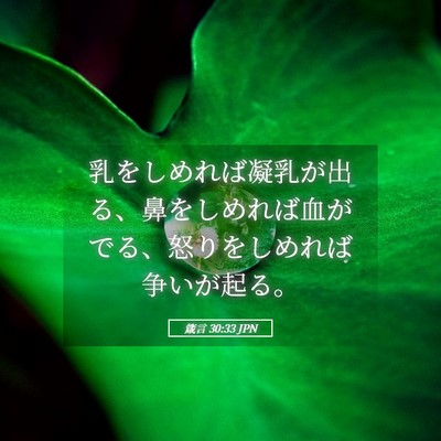 Picture 05 - 箴言 30:33 JPN - 乳をしめれば凝乳が出る、鼻をしめ - Bible Verse Picture