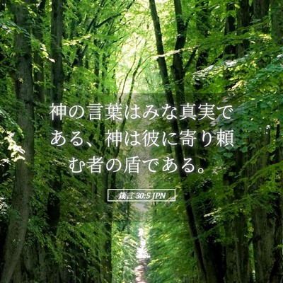 Picture 05 - 箴言 30:5 JPN - 神の言葉はみな真実である、神は彼 - Bible Verse Picture