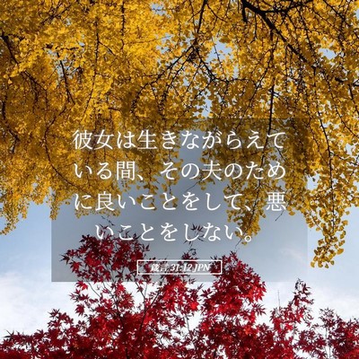 Picture 05 - 箴言 31:12 JPN - 彼女は生きながらえている間、その - Bible Verse Picture