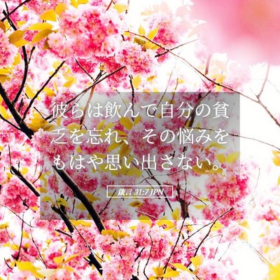 Picture 05 - 箴言 31:7 JPN - 彼らは飲んで自分の貧乏を忘れ、そ - Bible Verse Picture