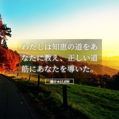 Picture 05 - 箴言 4:11 JPN - わたしは知恵の道をあなたに教え、 - Bible Verse Picture
