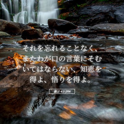 Picture 05 - 箴言 4:5 JPN - それを忘れることなく、またわが口 - Bible Verse Picture