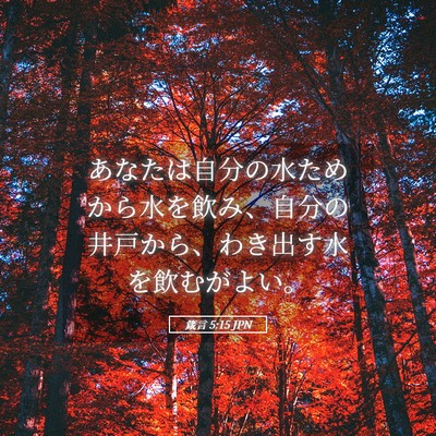 Picture 05 - 箴言 5:15 JPN - あなたは自分の水ためから水を飲み - Bible Verse Picture