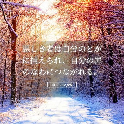 Picture 05 - 箴言 5:22 JPN - 悪しき者は自分のとがに捕えられ、 - Bible Verse Picture